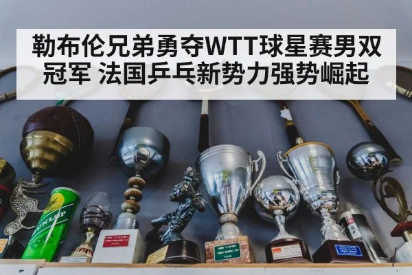 勒布伦兄弟勇夺WTT球星赛男双冠军 法国乒乓新势力强势崛起