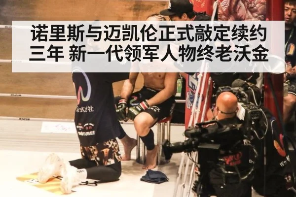 诺里斯与迈凯伦正式敲定续约三年 新一代领军人物终老沃金