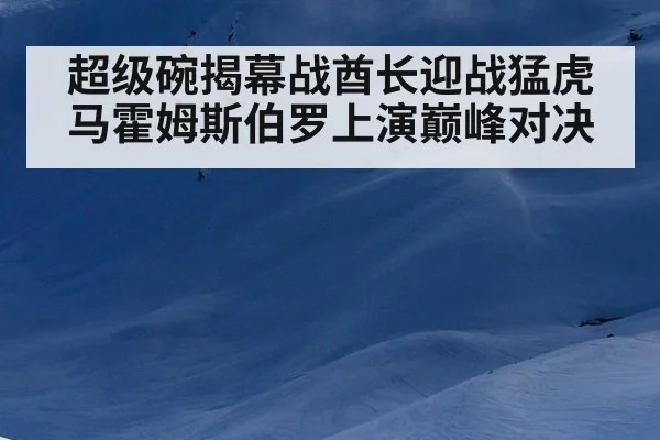 超级碗揭幕战酋长迎战猛虎 马霍姆斯伯罗上演巅峰对决